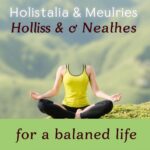 Holistic Health & Wellness Tips for a Balanced Life